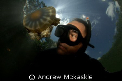 Just me and the Jelly
Nikon D2 in a SeaCam housing, 10mm... by Andrew Mckaskle 